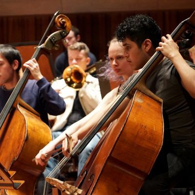 Double bass players during a rehearsal